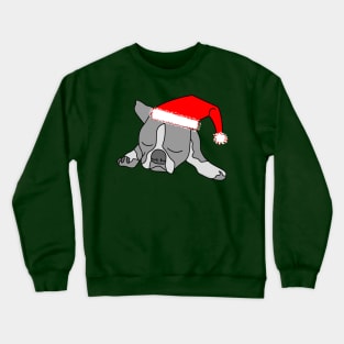 Santa Cap Dog Crewneck Sweatshirt